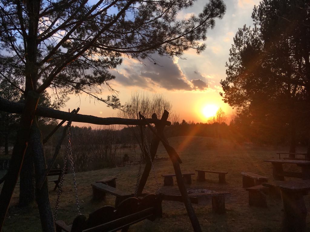 61259899_2301957880126133_3203501890021097472_n