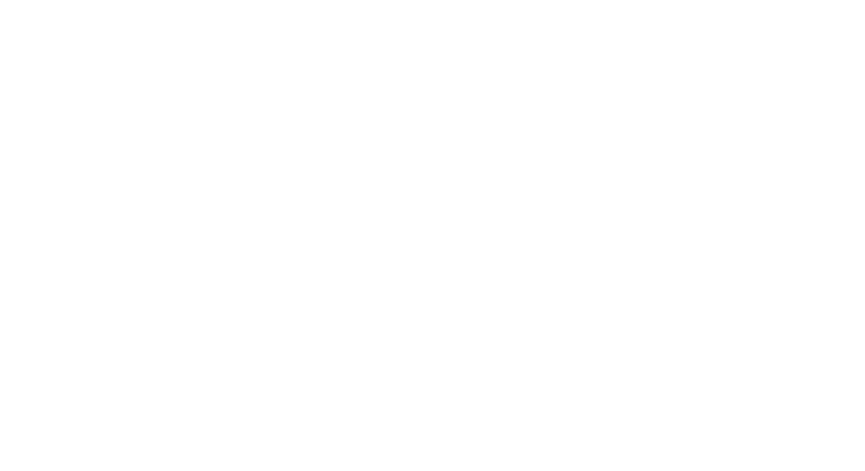 Borki33